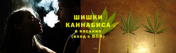 шишки Алзамай