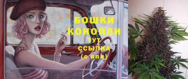 шишки Алзамай