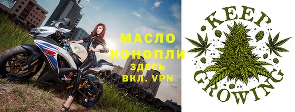 дмт Алексин