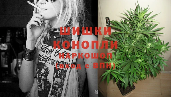 шишки Алзамай