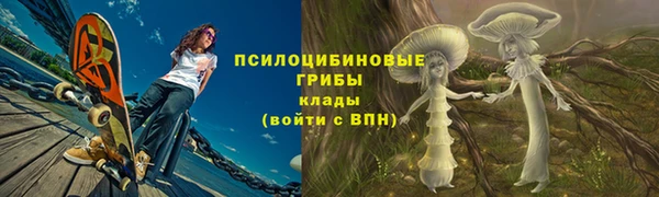 дмт Алексин